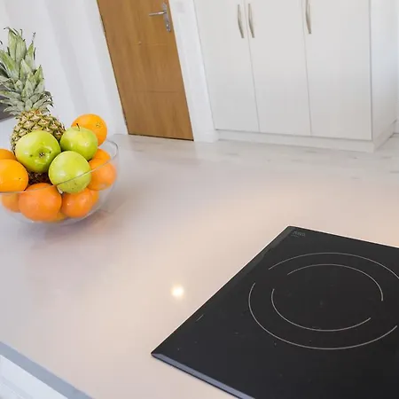 Mercedes Penthouse In By Solaga Homes Apartament